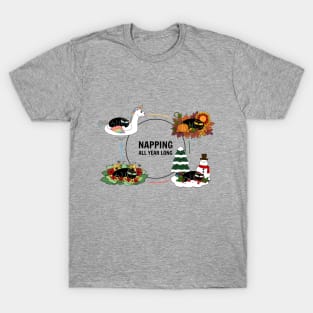 Four Season Cat Naps (Summer, Fall, Winter, Spring) T-Shirt